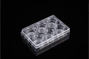 Insert Transwell Membran PET 1um untuk Plat Kultur Lab <span class=keywords><strong>6</strong></span>-well, Insert Kultur Sel - Product Image 5