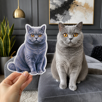 Autocollants personnalisés découpés sur mesure pour animaux de compagnie (chats, chiens) – Autocollants en vinyle imperméables et résistants à l'usure pour frisbees d'animaux