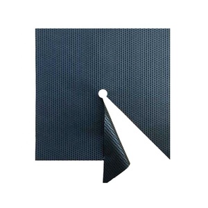 Vải phủ đất nông nghiệp màu đen hình vuông bằng nhựa, có lỗ trồng cây, dùng để ngăn cỏ dại cho cây táo - Product Image 2