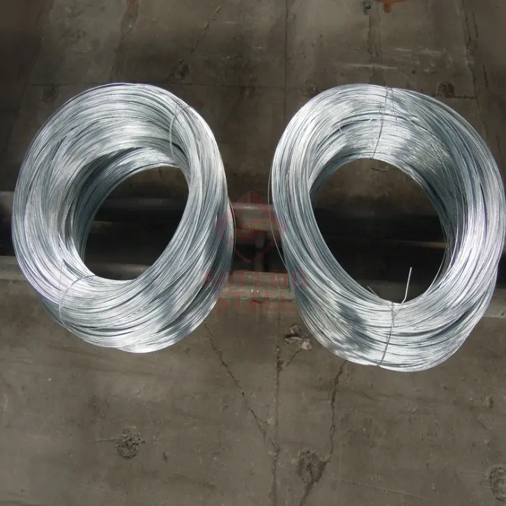 1mm 2mm 20mm Galvanized Spring Steel Wire Carbon Stainless Hot Dipped Galvanized Steel Wire