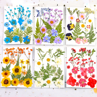 INTODIY vente en gros, mélange de feuilles séchées, plantes, fleurs sèches, Nail Art pour résine, artisanat, bijoux, cadeau, bougie, emballage, décoration