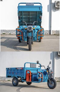 Buon prezzo pesante <span class=keywords><strong>tre</strong></span> ruote triciclo con motore ad alta potenza 1500W elettrico Cargo triciclo camion - Product Image 6