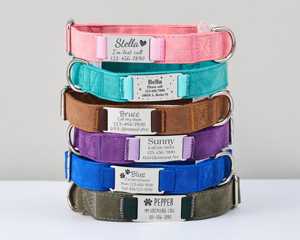 Ensemble collier et laisse personnalisés en cuir suédé pour animaux de compagnie, collier pour chat Aqua personnalisé avec étiquette nominative en métal gravée et clochette offerte - Product Image 3