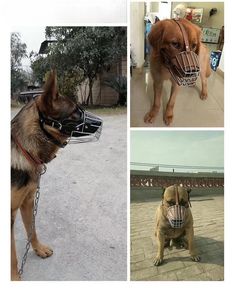 Bozales para perros <span class=keywords><strong>bozal</strong></span> para mordedura antiladridos para mascotas para <span class=keywords><strong>Pitbull</strong></span> Pastor cachorro pequeño Retriever - Product Image 6