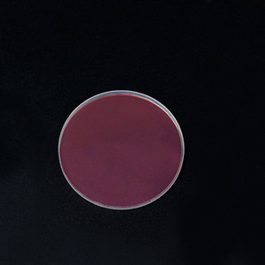45 Graden <span class=keywords><strong>Reflector</strong></span> 532nm Hr H-K9L Optische Lens <span class=keywords><strong>Laser</strong></span> Snijden Lassen Reflecterende Spiegel - Product Image 2