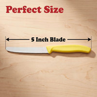TOALLWIN Ensemble de 6 couteaux à steak en acier inoxydable avec lame dentelée 3Cr13 et manche ergonomique en PP pour restaurant, cuisine, vente en gros