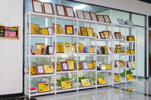 Самая дешевая Международная экспедирование <span class=keywords><strong>DHL</strong></span> UPS из Китая в Нигерию - Product Image 5