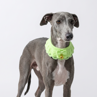 Collier personnalisé de luxe populaire pour chien et chat, design classique, couleurs mélangées, en coton et acrylique, confortable, collection automne, fabriqué par le producteur
