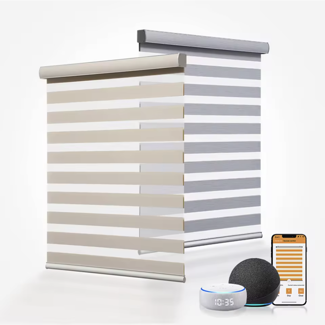 Smart Roller Built-In Modern Blackout Double Layers WiFi Control Motorized Day Night Electric Office Zebra Blinds for Living