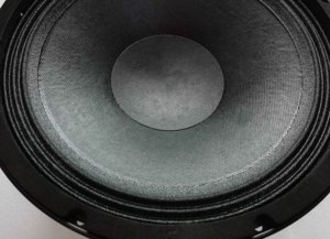 10 Inch Neodymium Loa MID-Bass Woofer Cho Dòng Mảng Hệ Thống Với Nhôm Giỏ L10-83310 - Product Image 3