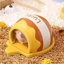 Nid en céramique pour hamster de style pot à miel artistique, abri confortable pour hamsters syriens et <span class=keywords><strong>Roborovski</strong></span>, lavable - Product Image 3