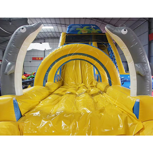Toboggan aquatique gonflable géant incurvé en PVC pour usage domestique - Product Image 4