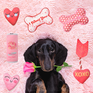 Đồ Chơi Vải Nhung Lông Hình Chú Chó Kêu Cót Két Chủ Đề Ngày Lễ Tình Nhân Đồ Chơi Nhồi Bông Hình Xương Trái Tim - Product Image 5