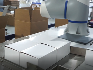 โคบอทสำหรับสายการบรรจุและจัดเรียงสินค้าอัตโนมัติ - Product Image 1