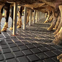 10mm 12mm 17mm Tapis en caoutchouc de remorque de vache Tapis en caoutchouc roulé