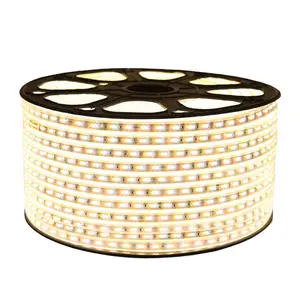 Factory directly offer LED strip light COB 480 with good quality with power supply