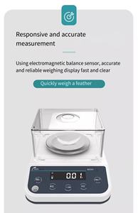 Richmoon 1033 0.001g 10mg 실험실 균형 ABS + 스테인레스 스틸 광동 정밀 디지털 분석 산업 전자 저울 - Product Image 2