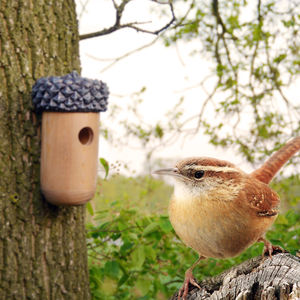 Esschert Ontwerp 100% Grenen Hout + Pvc Afgewerkte Houten Vogelhuisjes Groothandel Vogel Huis Acorn Houten Vogelhuisje - Product Image 4