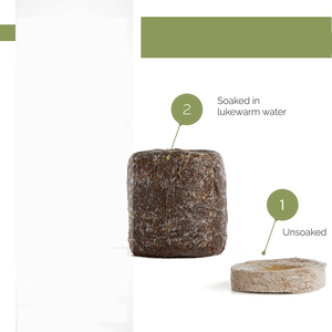 Nuevo producto Ideas 2023 Hierba Jardinería Regalos Macetas Mini Perejil Plástico para plantas Decoración al aire libre <span class=keywords><strong>Maceta</strong></span> para hombres y mujeres - Product Image 5