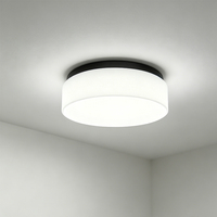 Proveedor de Iluminación para Hoteles, Lámpara de Techo Hampton Kinetic/Scenic, Acabado Negro Mate