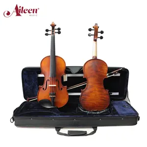 ケース付きプロのアイリーン卸売装飾バイオリン (AVL-231)