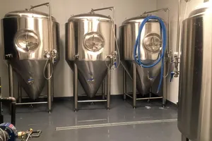 Sistema <span class=keywords><strong>de</strong></span> Malteado Saladin para Cerveza <span class=keywords><strong>de</strong></span> <span class=keywords><strong>Cebada</strong></span>, el Más Vendido, para Malteadores, Cerveceros, Destiladores, Panaderos, Agricultores y Molineros - Product Image 2