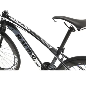 Schlussverkauf neues Design Straßenfahrrad Doppelscheibenbremsen-Fahrrad Rennsport Mountainbike