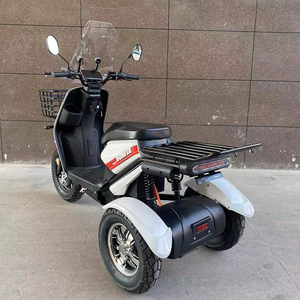 Vente chaude Scooter électrique à 3 roues Tricycle motorisé pousse-pousse pour passager et cargaison 48v <span class=keywords><strong>moto</strong></span> handicapée à trois roues - Product Image 3