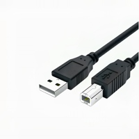 Câble USB d'imprimante Usb Para Impresora Usb2.0 a mâle à Type B mâle Usb 2.0 câble d'imprimante pour imprimante Scanner Fax Machine