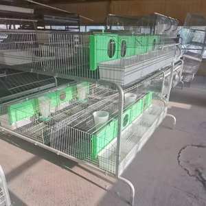 กรงกระต่ายชุบสังกะสีสำหรับ<span class=keywords><strong>ฟาร์ม</strong></span><span class=keywords><strong>กระต่าย</strong></span><span class=keywords><strong>เนื้อ</strong></span>ในยูกันดา - Product Image 4