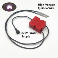 Transformateur d'allumage à impulsions 220V 25KV pour poêles multi-combustibles (huile végétale/méthanol/GPL/gaz naturel) industriel/commercial