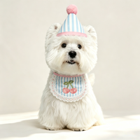 Ensemble chapeau et bavoir chat cerise mignon à prix réduit, bandana ajustable en polyester, tenue de Noël pour animaux, accessoires pour chiens, fête