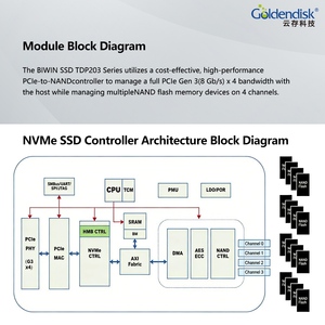 SSD Industrial M.2 NVMe de 2 TB con Interfaz PCIe Gen4 y Módulo de Seguridad de Hardware TDP203 - Product Image 3