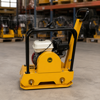 Compacteur de plaques de type 200 homologué CE, vente en gros pour les concessionnaires