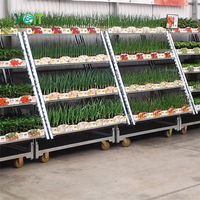 Serre Garden Center Multi-Purpose Plis Expédition Pépinière Présentoir Chariot