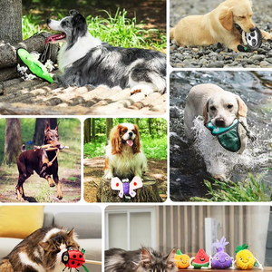 <span class=keywords><strong>2025</strong></span> Bán Chạy Nhất Khủng Long Bạn Bè Thể Thao Tương Tác Và Nhai Đồ Chơi Cho Con Chó EVA Chất Liệu Cho Chó - Product Image 6