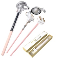 Platinum Rhodium Thermocouple Pt-rh B R S K Type Thermocouple for Furnace Kiln 0-1800c 0-1600c 0-1300c Glass Factory