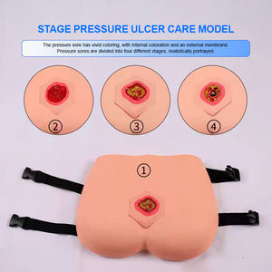 ADA-H10B PVC <b>Medical</b> Science Training Nursing Manikin Stage of Pressure Ulcers Teaching <b>Model</b> Easy to Replace - Product Image 2
