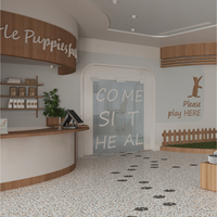 Conception d'intérieur moderne sur mesure pour animalerie, solution clé en main EPC complète, aménagement de salon de toilettage pour projet de magasin de vente au détail d'articles pour animaux