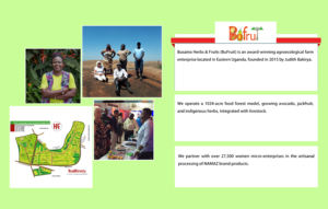 Aceite Esencial Puro de NAMAZ de Limoncillo Cítrico, Derivado de la Naturaleza, Jinja Uganda, Líquido Nutritivo para el Cuidado Corporal, Diluir con Aceite Portador - Product Image 6