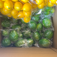 Kunstmatige fruitdecoratie voor thuis, nep citroenblokjes, feestdecoratie, keukendecoratie, nep limoenchips, simulatie fruit, kunstmatige citroenschijfjes