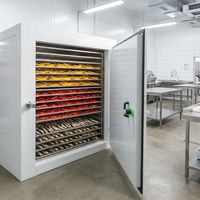 Vente directe d'usine - Machine à sécher les tomates - Machine à sécher le gingembre