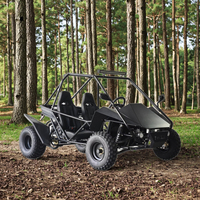 Kandi Electric 3KW Lithium Battery Dune Buggy 4*2 Off-Road Go Kart 3000W Engine 72V Shaft Drive Pedal Go Karts Outdoor Use