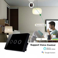 Interruttore a Sfioramento Smart Champions Standard USA 1/2/3/4 Gang in Vetro Temperato con Controllo WiFi, Materiale ABS, 240V