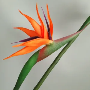Fleur artificielle de qualité supérieure en latex, oiseau de <span class=keywords><strong>paradis</strong></span>, décoration intérieure, fleurs haut de gamme - Product Image 4