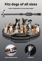 Collier de dressage pour chien à distance, étanche IP67, rechargeable, avec fonctions de choc, vibration, bip et lampe torche, pour toutes les tailles de chiens