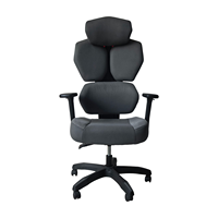 Chaise de gaming ergonomique haut de gamme avec dossier en maille, soutien lombaire réglable, accoudoirs réglables, idéale pour le bureau à domicile et les longues sessions assises