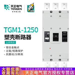 เท็นเก้น ทีจีเอ็ม1-1250/3300 1000A 3P เซอร์กิตเบรกเกอร์แบบโมลด์เคส หน่วยทริปแม่เหล็กแบบความร้อน แรงดันต่ำ ตัวเรือนพลาสติก - Product Image 5
