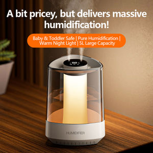 99.99% Sterilisatie Grote Watertank Luchtbevochtiger Mist Volume Dubbel Mondstuk Usb Draagbaar Voor Slaapkamer & Hotel Gebruik - Product Image 2