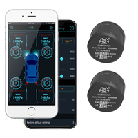 TPMS Mobil Sistem Pemantauan Tekanan Ban TPMS Alarm Otomatis Sensor Eksternal Nirkabel